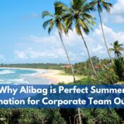 Why Alibag is the Perfect Summer Destination for Corporate Team Outings